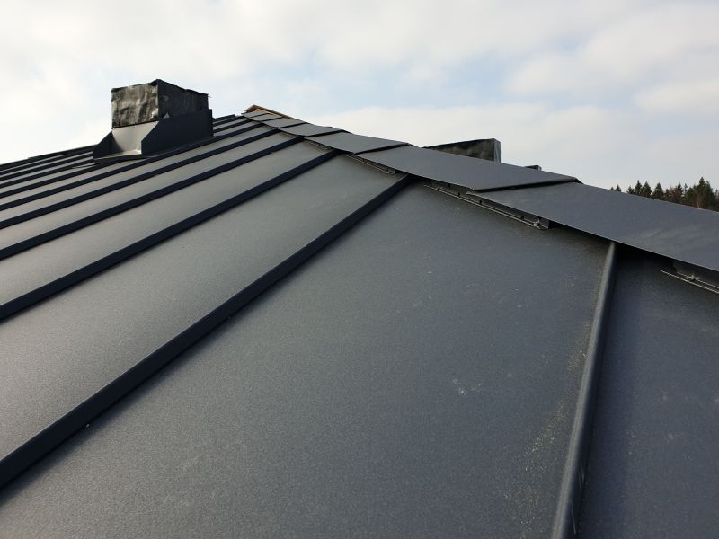 Aluminum Roof Waterproofing in Evergreen, CO