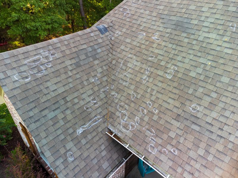 Asphalt Roof Inspection in Gilpin County, CO