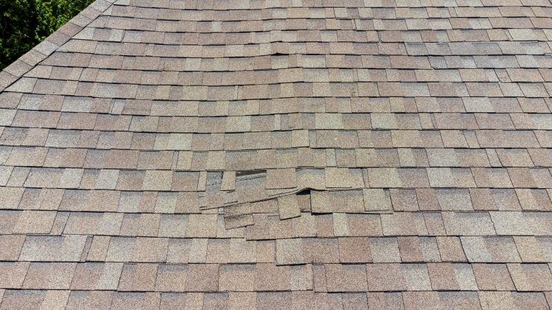 Asphalt Roof Inspection in Westminster, CO