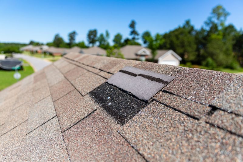 Asphalt Roof Leak Repair in Denver County, CO