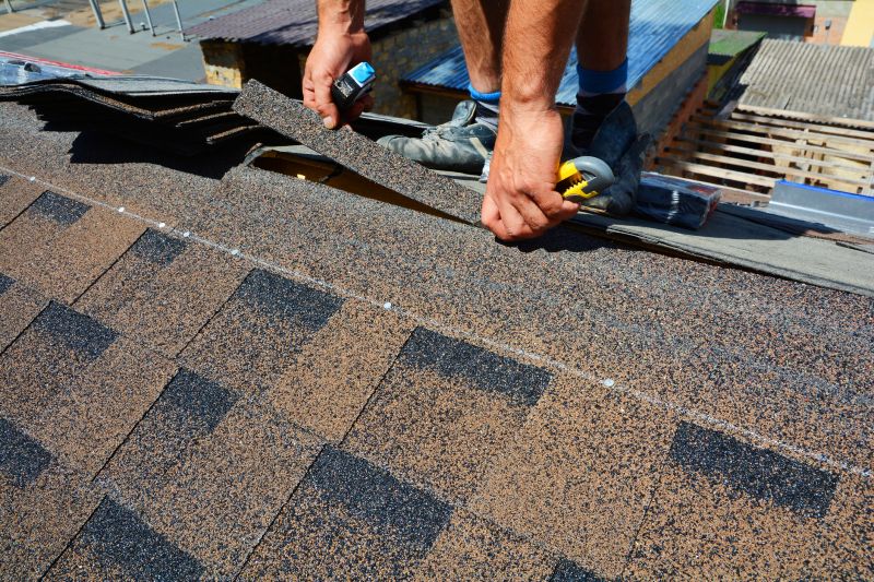Asphalt Roof Repair in Bailey, CO