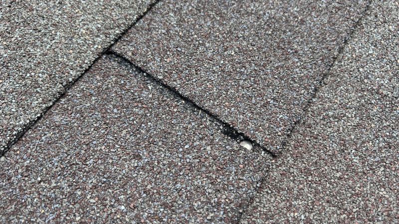 Asphalt Roof Repair in Bailey, CO