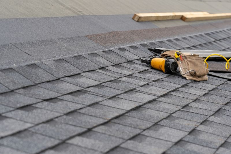 Asphalt Roof Repair in Clear Creek County, CO