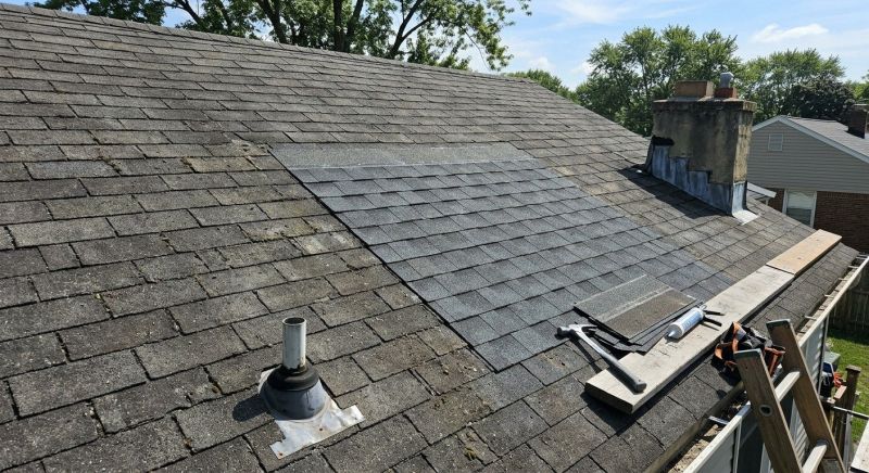 Asphalt Roof Repair in Douglas County, CO
