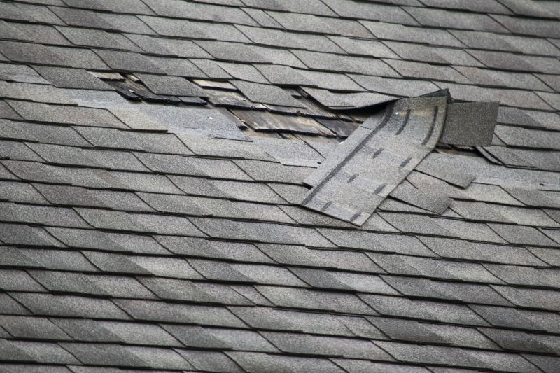 Asphalt Roof Repair in Gilpin County, CO