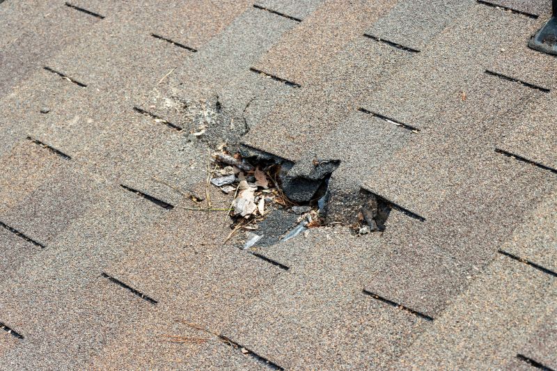 Asphalt Roof Replacement in Morrison, CO