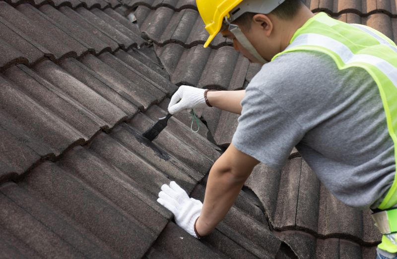 Bedroom Leak Repair in Evergreen, CO