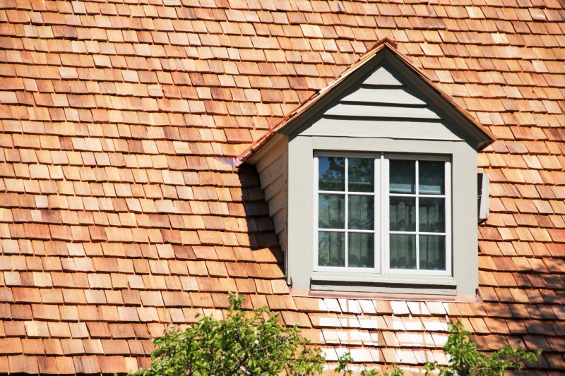 Cedar Roof Construction in Evergreen, CO