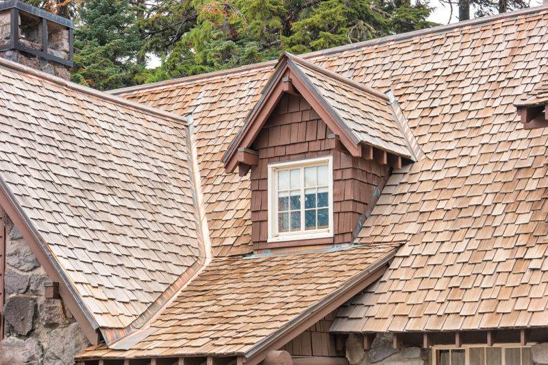 Cedar Shake Roof Repair in Denver County, CO