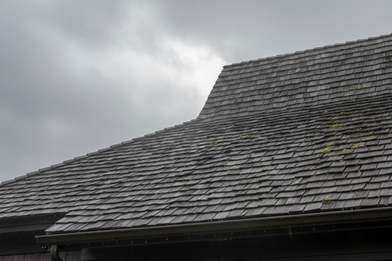 Cedar Shingles Replacement in Denver, CO