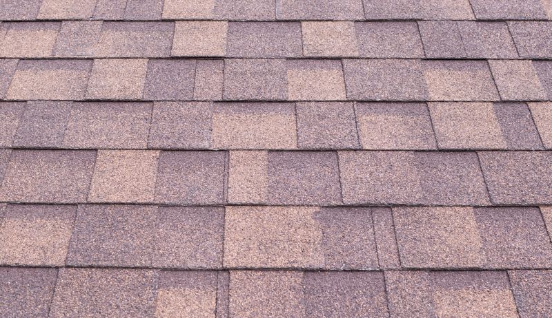 Composite Shingle Repair in Evergreen, CO