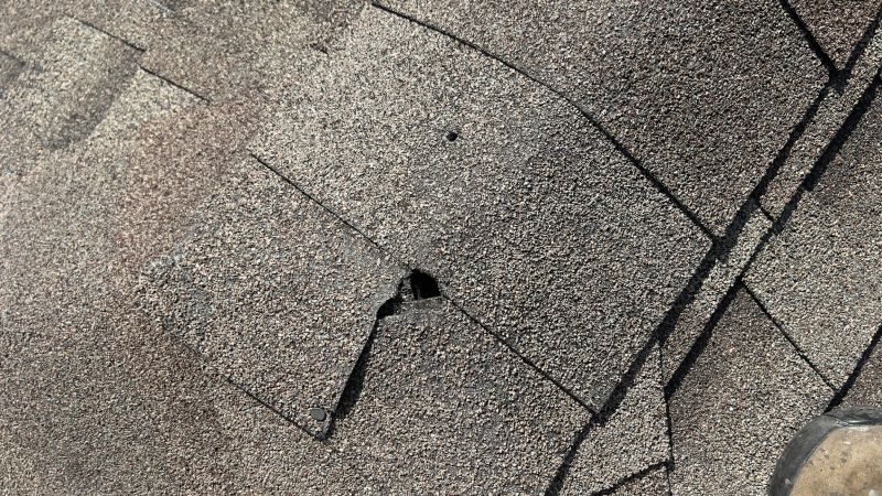 Damaged Roof Repair in Bailey, CO