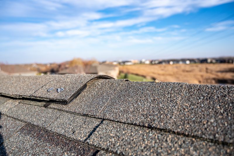 Damaged Roof Repair in Conifer, CO