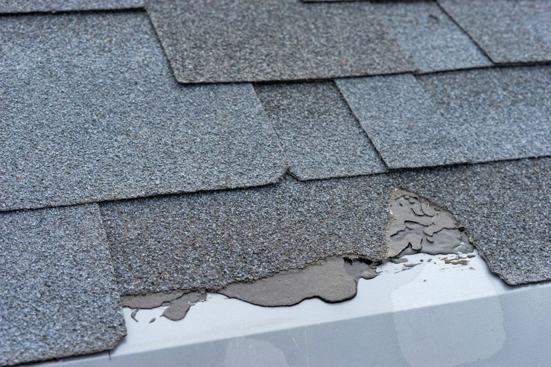 Damaged Roof Repair in Douglas County, CO