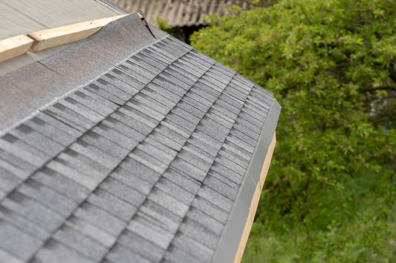 Damaged Roof Repair in Douglas County, CO