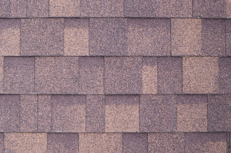 Fiberglass Shingles Repair in Evergreen, CO