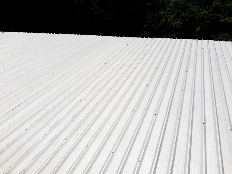 Galvanized Roof Repair in Evergreen, CO