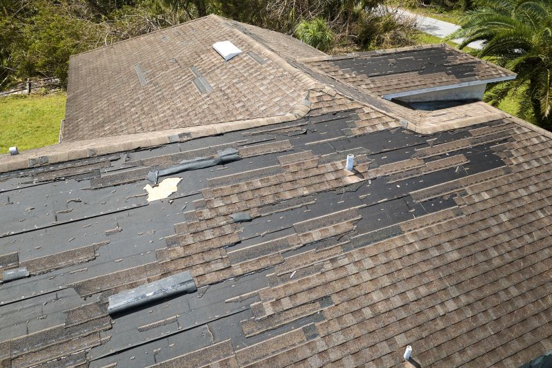 Hail Damage Roof Repair in Douglas County, CO