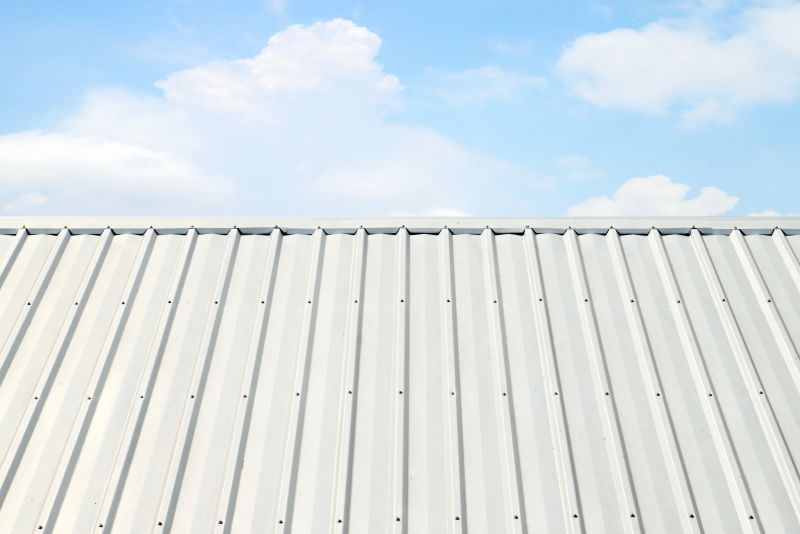 Metal Roof Coating Installation in Evergreen, CO