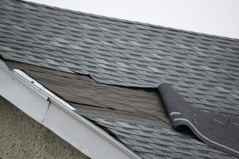 Ridge Cap Repair in Evergreen, CO