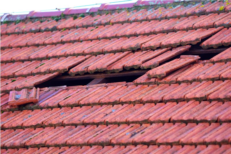 Roof Damage Inspection in Evergreen, CO