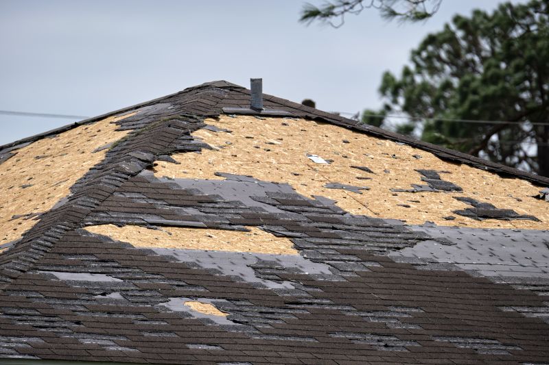 Roof Damage Inspection in Park County, CO