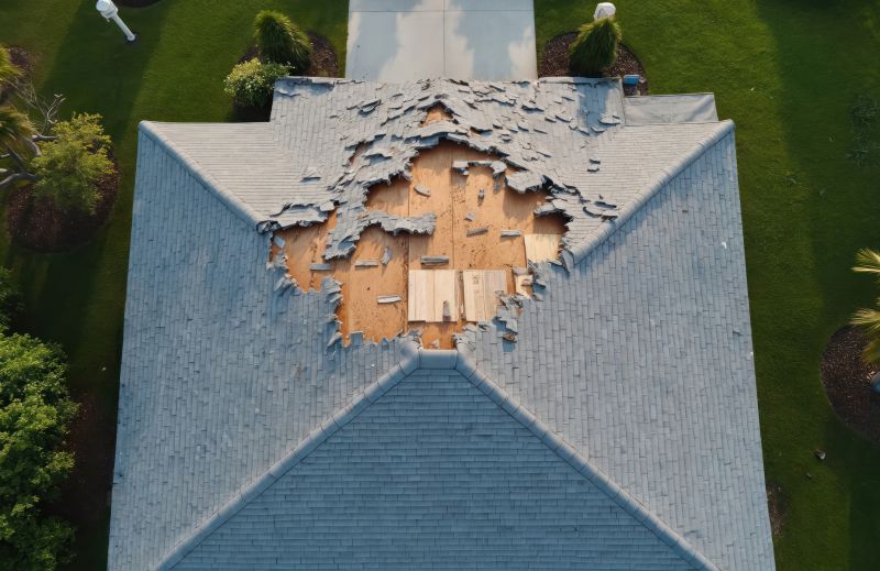 Roof Damage Repair in Park County, CO