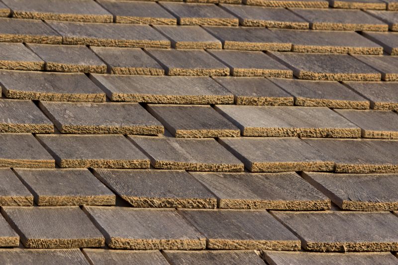 Shake Shingle Repair in Douglas County, CO
