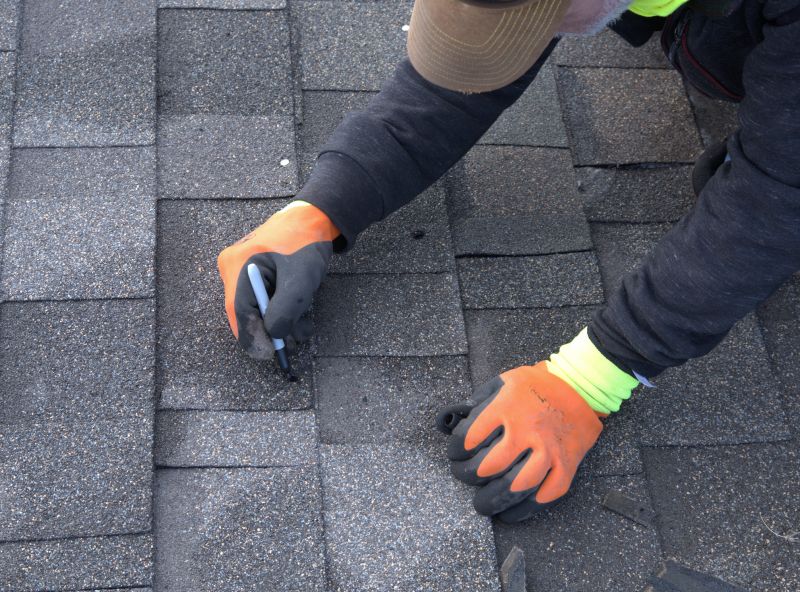 Shingles Repair in Conifer, CO