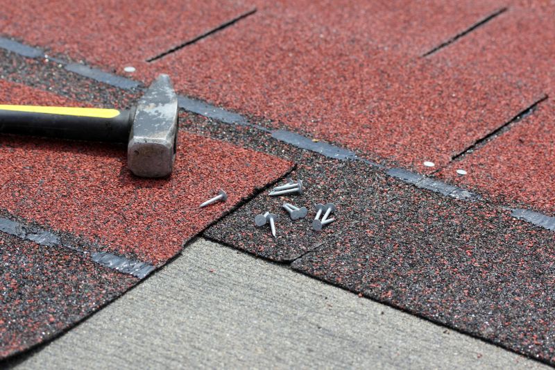 Shingles Repair in Douglas County, CO